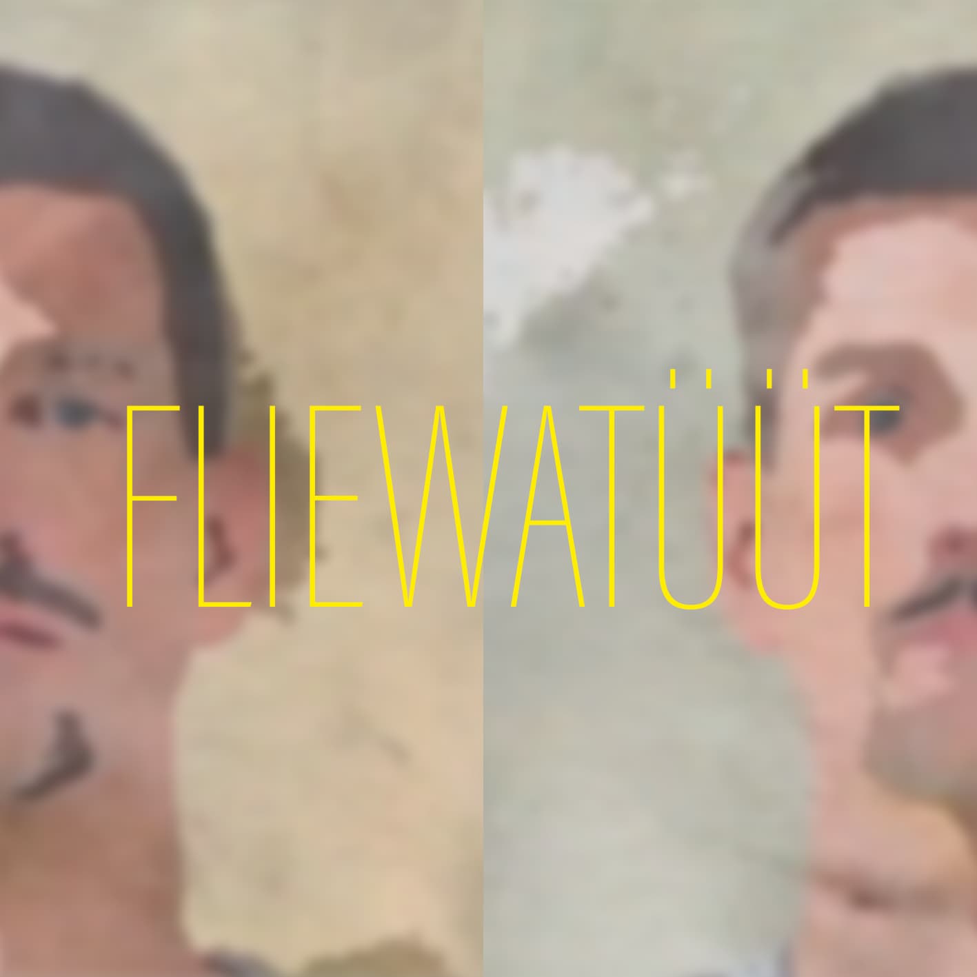 Pay No Attention – Fliewatüüt, Cover