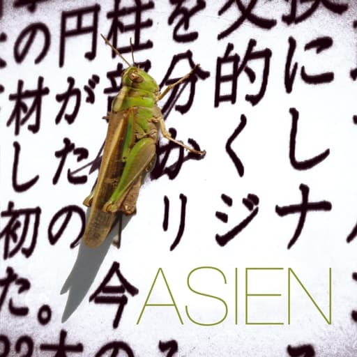 Misanthrop – Asien, Cover