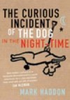 Image for The Curious Incident of the Dog in the Night Time
