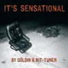 Image for Sensationell